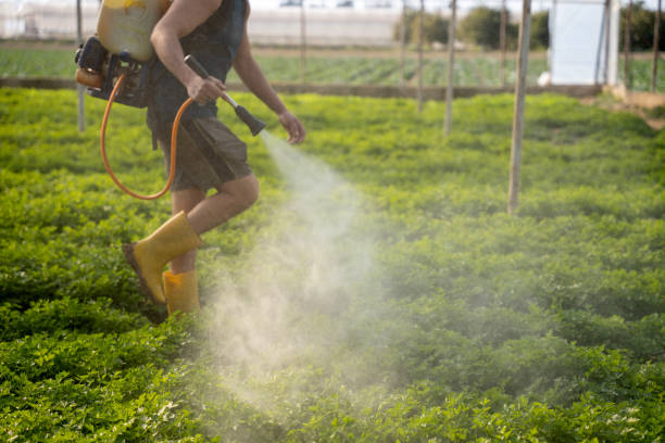 Best Pest Removal Services  in Portland, IN