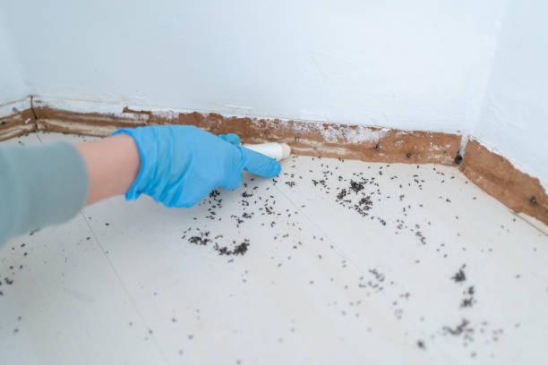 Best Termite Control Services  in Portland, IN