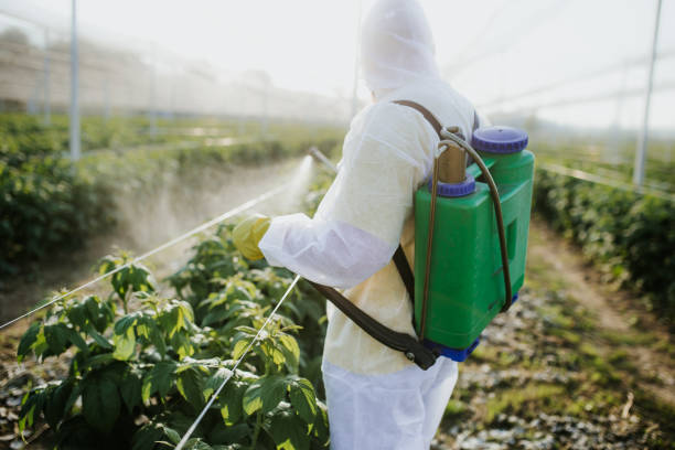 Best Ant Control Services  in Portland, IN